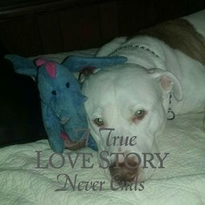 Meet your Posher, Jeanie